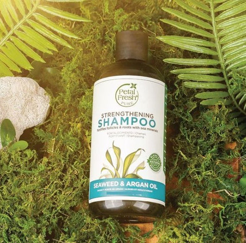 Petal Fresh Pure Seaweed & Argan Oil Shampoo – 355ml Detox & Hydration for Healthy Hair